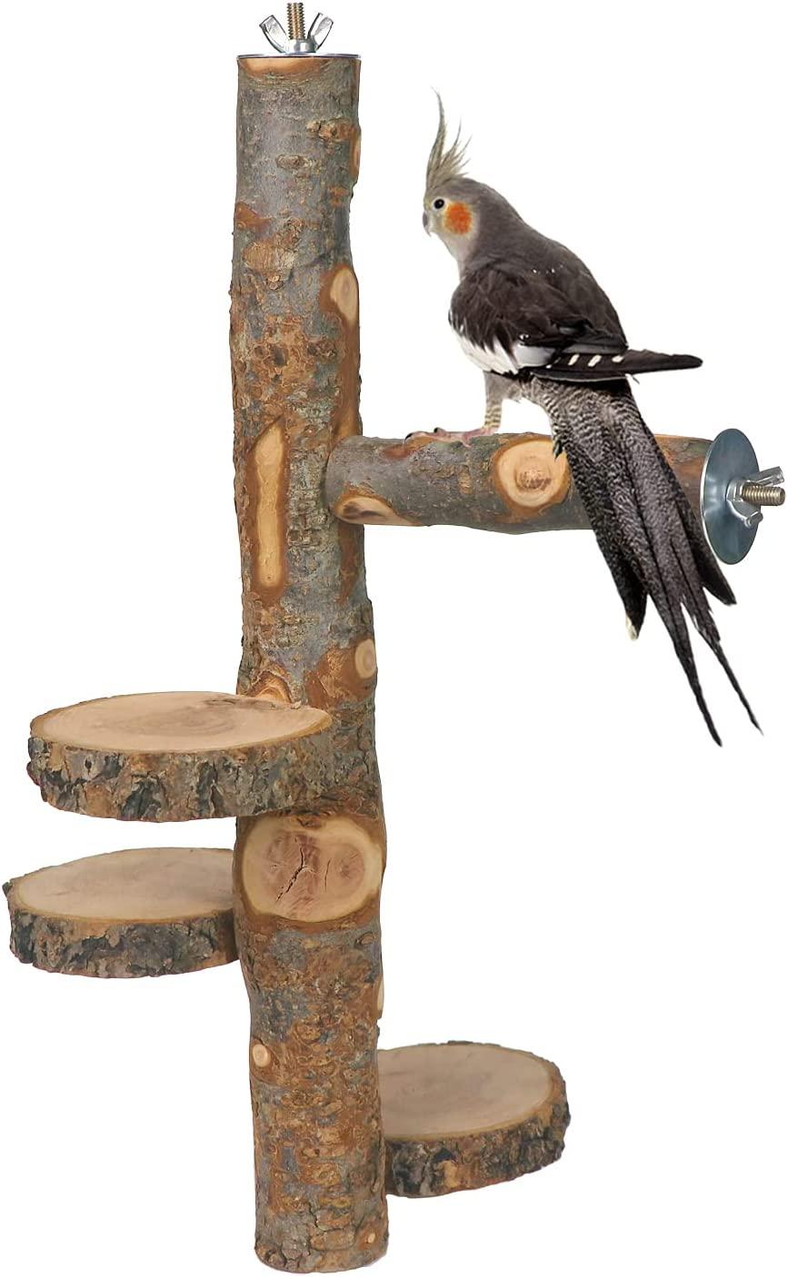 Wooden Paint Brush Holder - (Rotating) - Birdz of a Feather