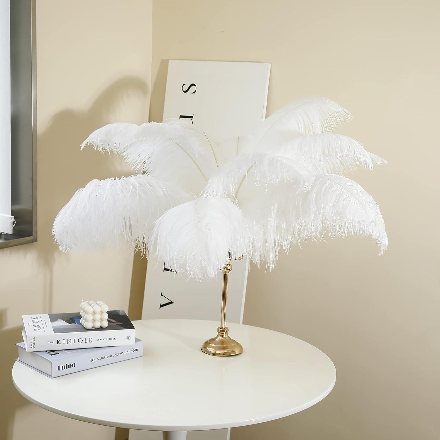 Larryhot White Large Ostrich Feathers - 16-18 inch 10pcs Feathers
