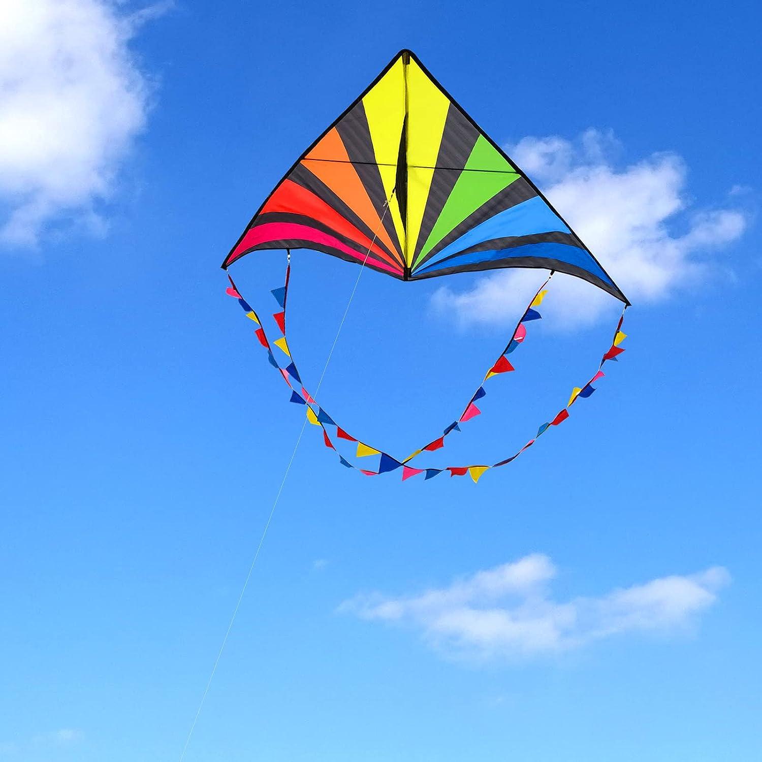 Simxkai Kite String Spool, Kite Reel Winder ,Easy-to-Grip Kite Line Handle,  600 feet Twisted Kite Line for Kids & Adults(Blue), Kite Accessories -   Canada