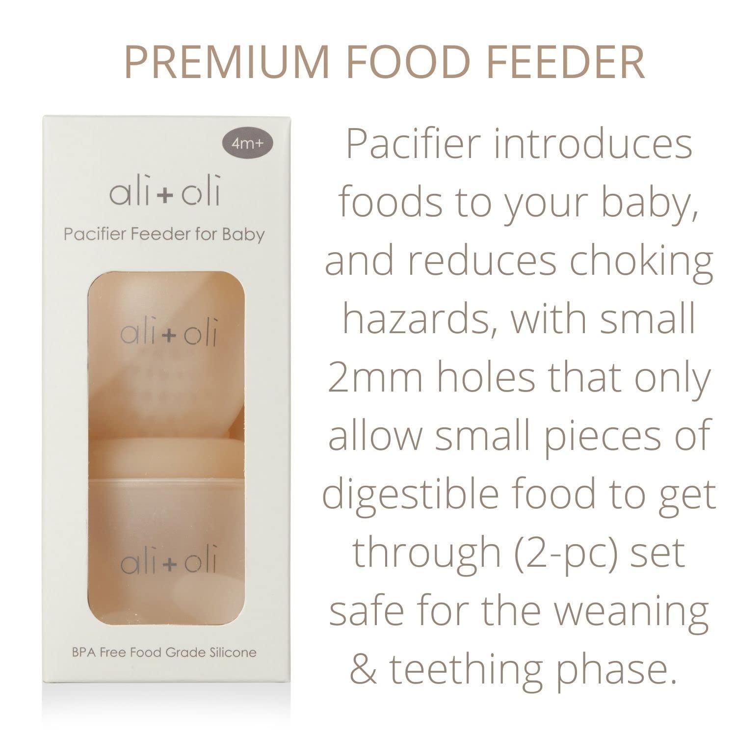 Food & Fruit Feeder Pacifier Set for Baby (Snow & Blush)