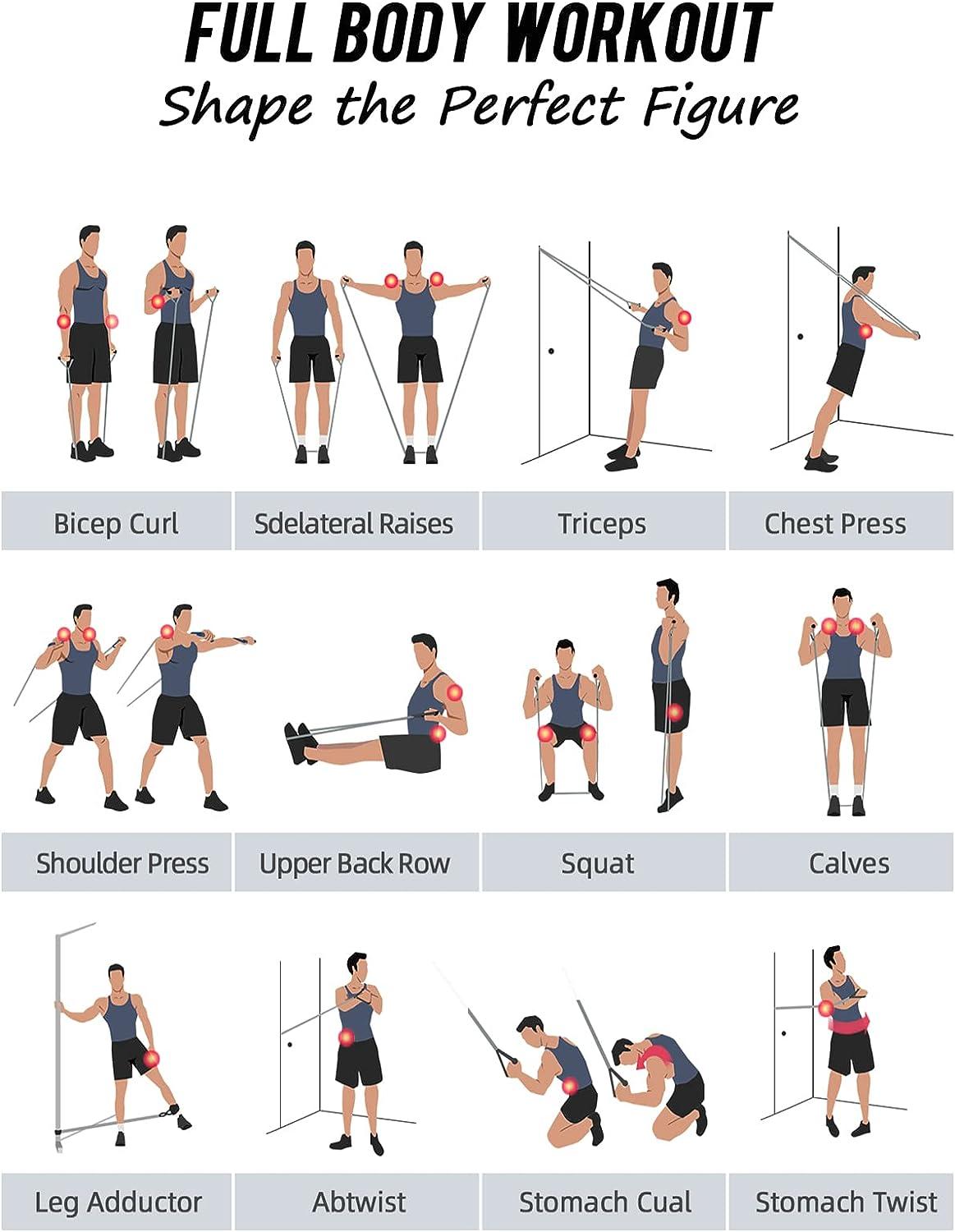 Chest Exercises for Women for Gym and Home Workouts - Hevy