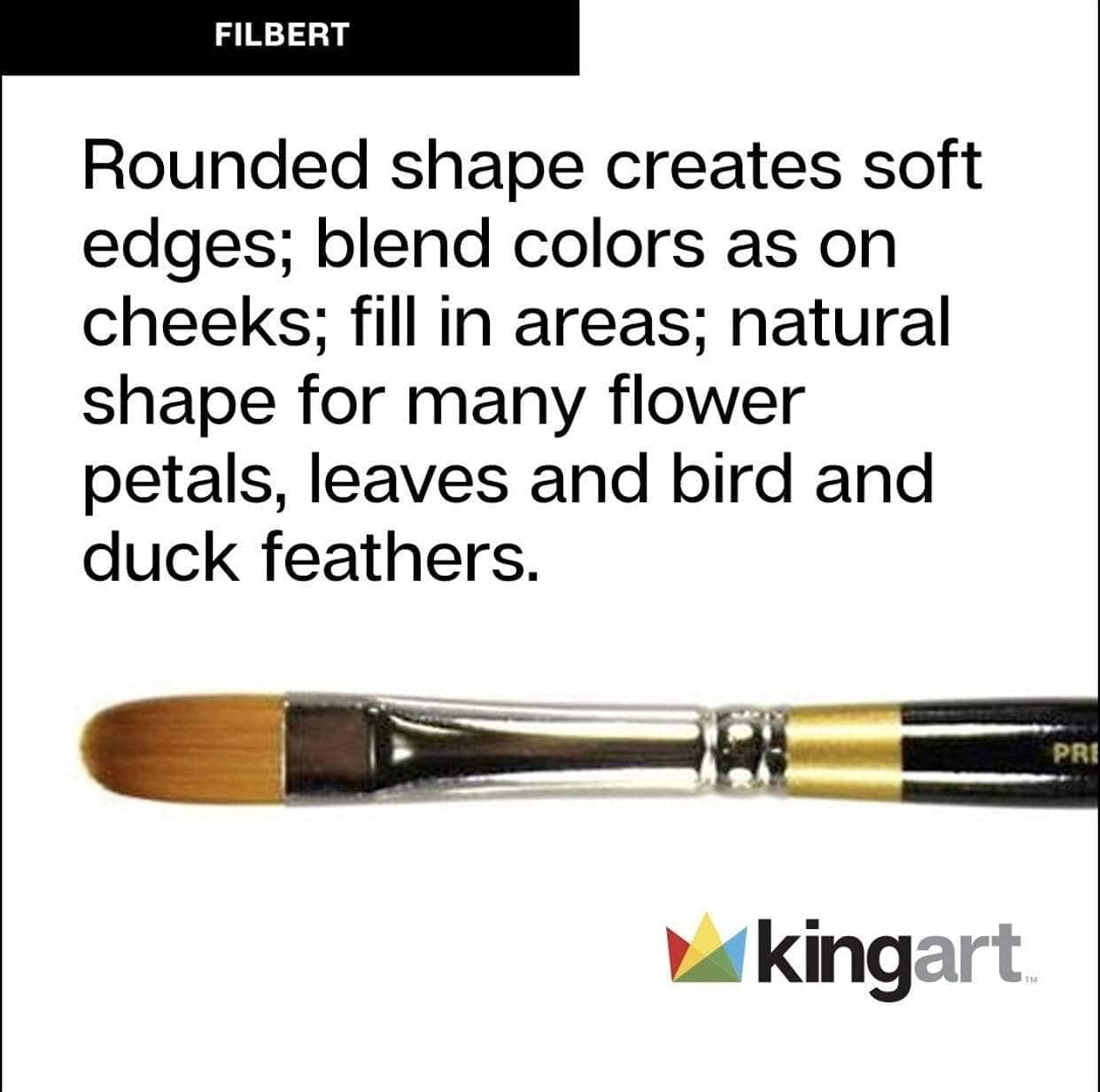 Kingart Original Gold, Series Premium Golden Taklon, Multimedia Artist  Brushes, Set of 10, All Ages 