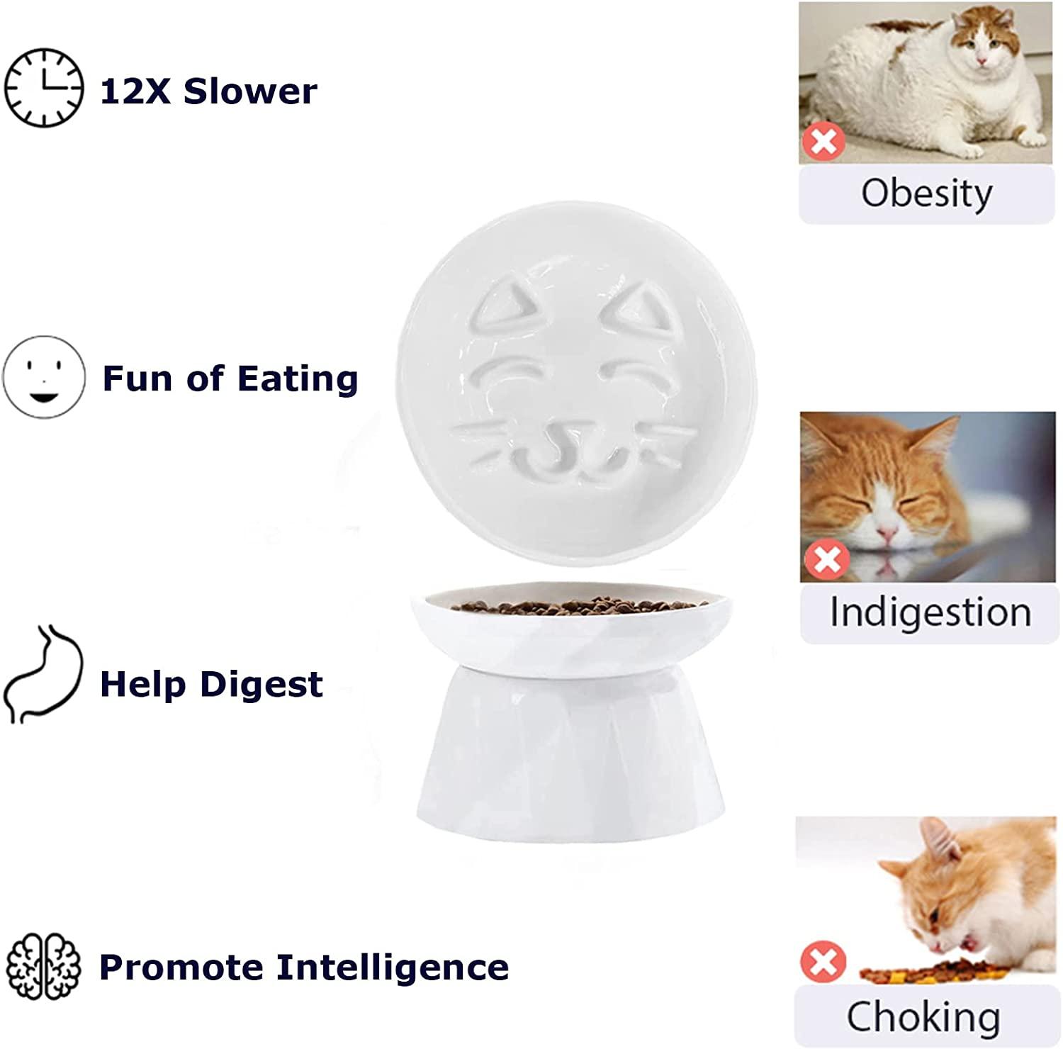 Elevated Cat Bowl, Ceramic Slow Feeder Cat Puzzle Food Bowl Water