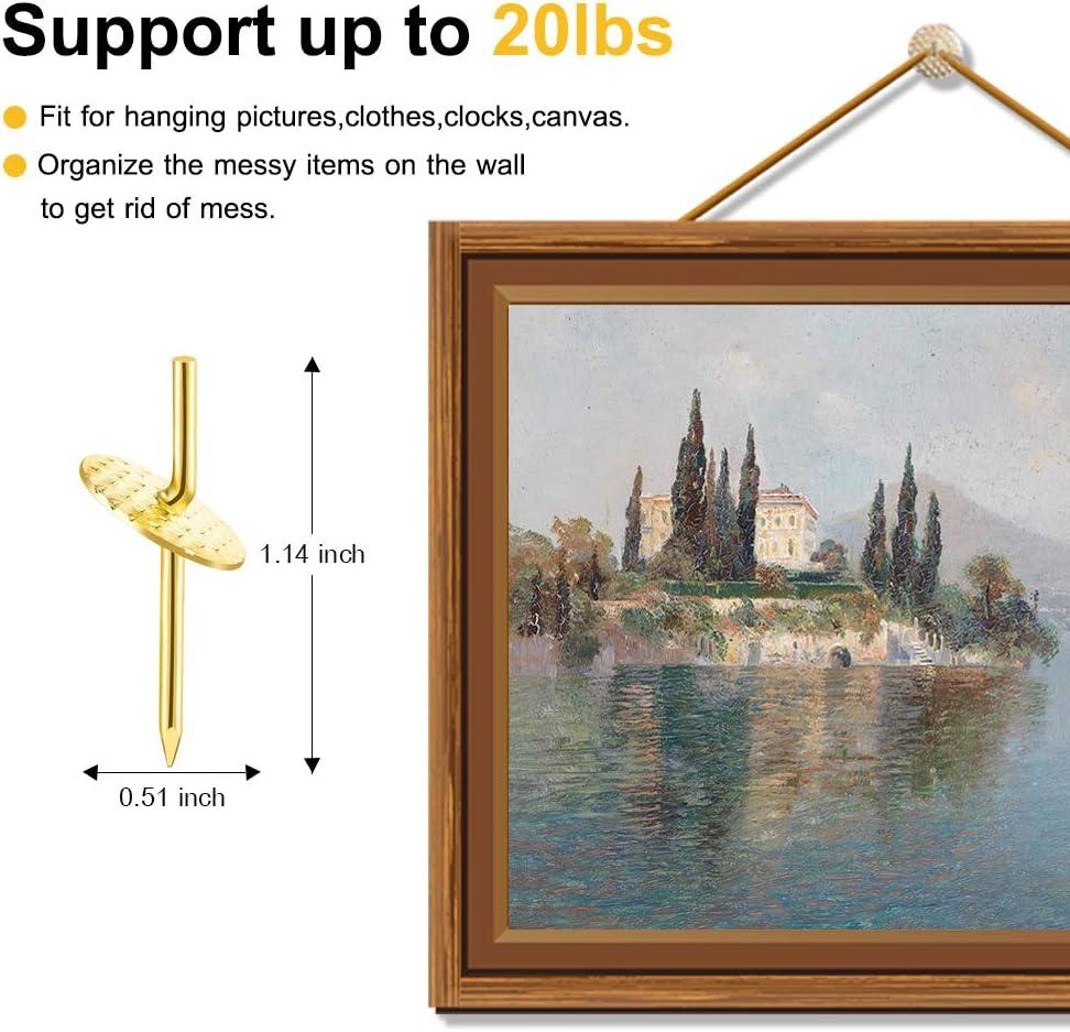 Picture Hangers for Art and Photos - Plaster and Drywall Hangers