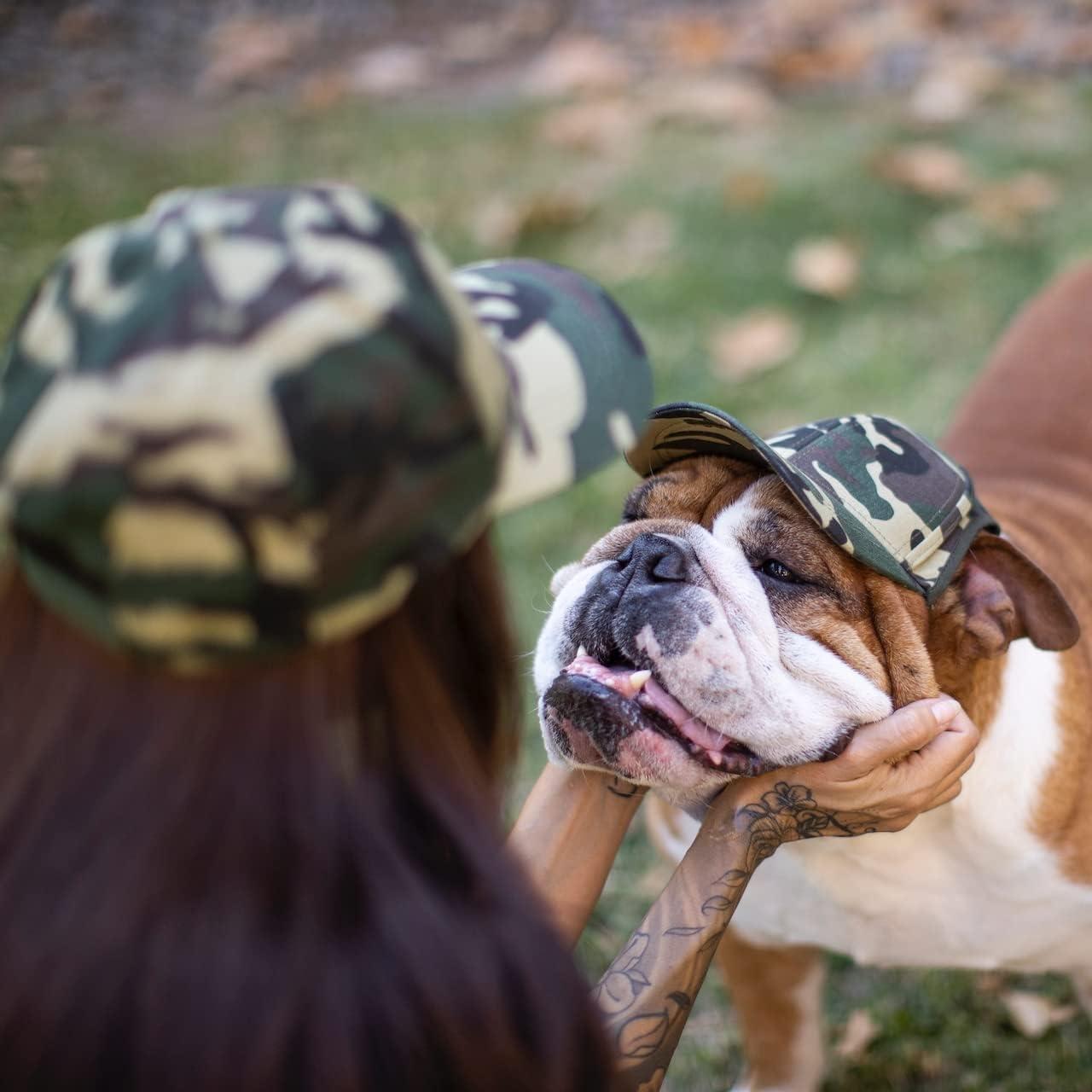 Premium Photo  A dog with a cap that says'dog'on it