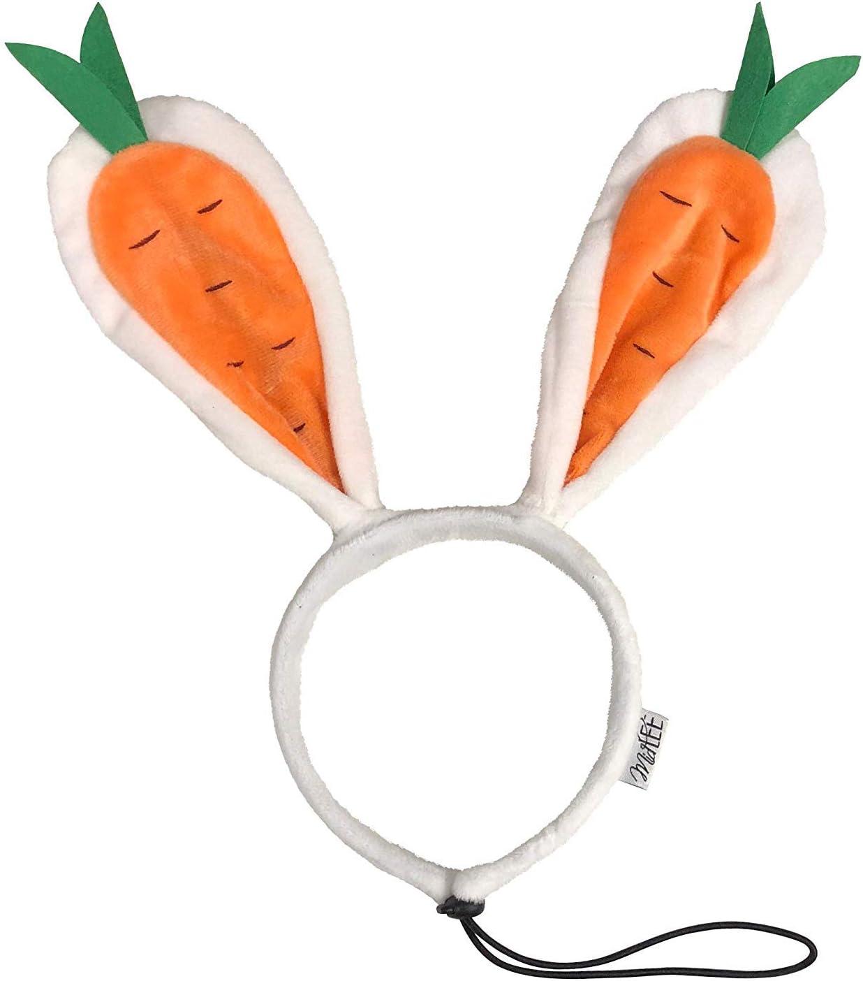 Midlee Hide A Toy Carrot Easter Dog Toy : Target