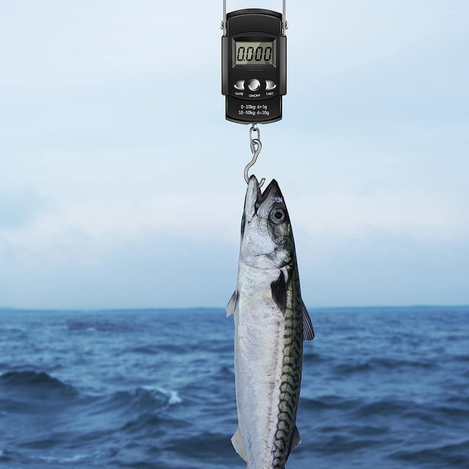 Digital Fish Scale 110lb/50kg Fish Gripper Fishing Lanyard Fish Hook Remover  Kit