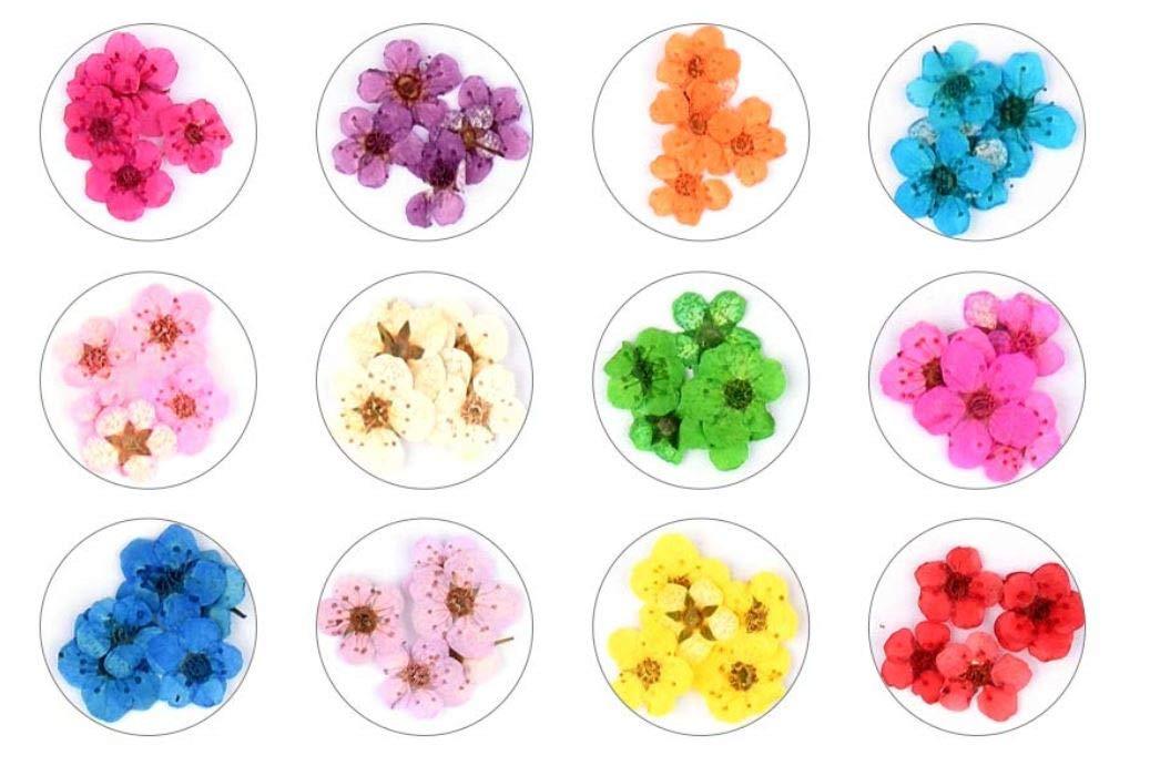 Nail Dried Flowers - 3D Dry Flowers Nail Art Stickers – Dynamic