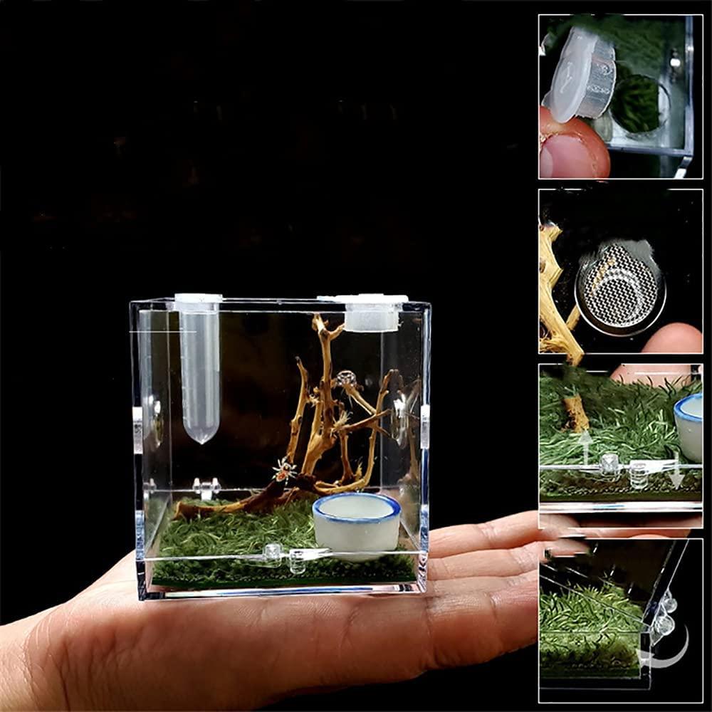 Durable Acrylic Enclosure for Jumping Spiders, Snails, and Reptiles -  Perfect for Terrariums and Housing Accessories