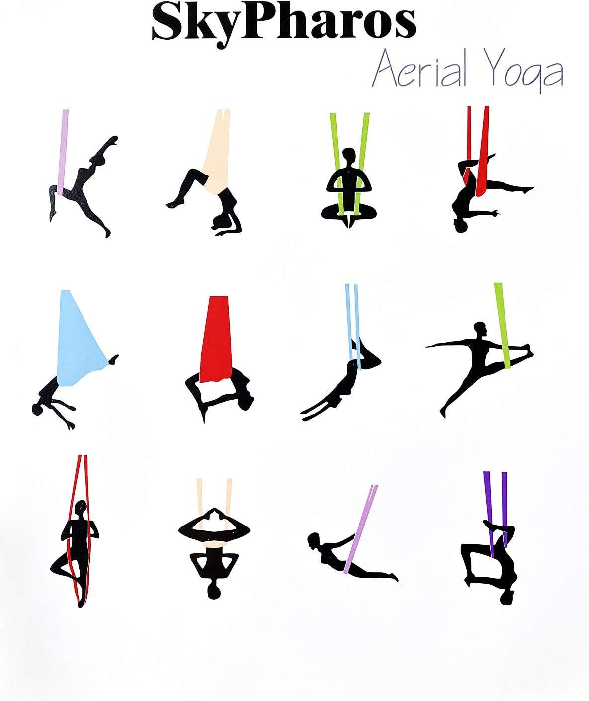 Amazon.in: Buy The Quick Guide to Aerial Yoga Poses Book Online at Low  Prices in India | The Quick Guide to Aerial Yoga Poses Reviews & Ratings