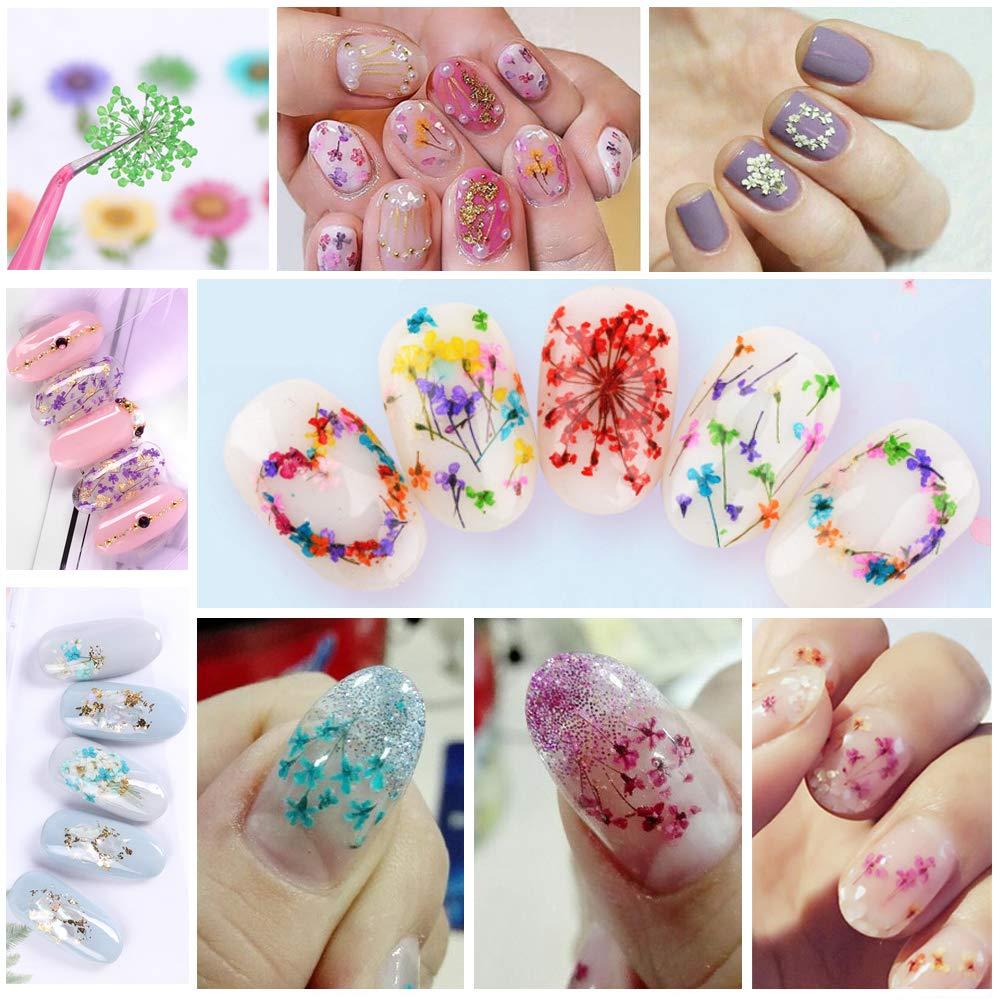 iFancer 108 Pcs Dried Flowers for Resin Nail Art 62 Colors 3D Dry Flowers  for Nails 2 Boxes Small Tiny Dried Flowers for Nail Art Little Pressed Real