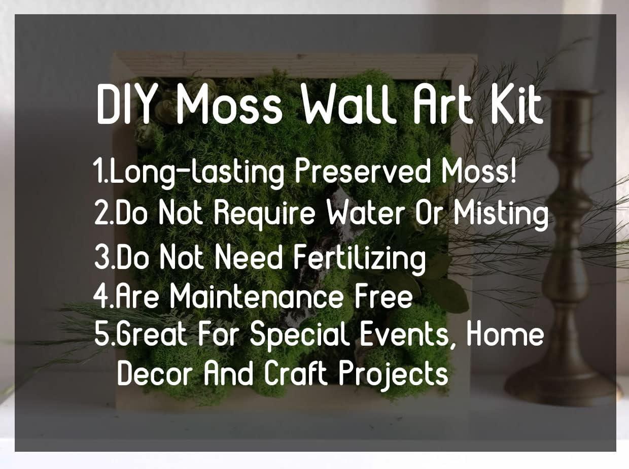 Two Moss Wall Art, Craft Kit, Home Decor, DIY Kit