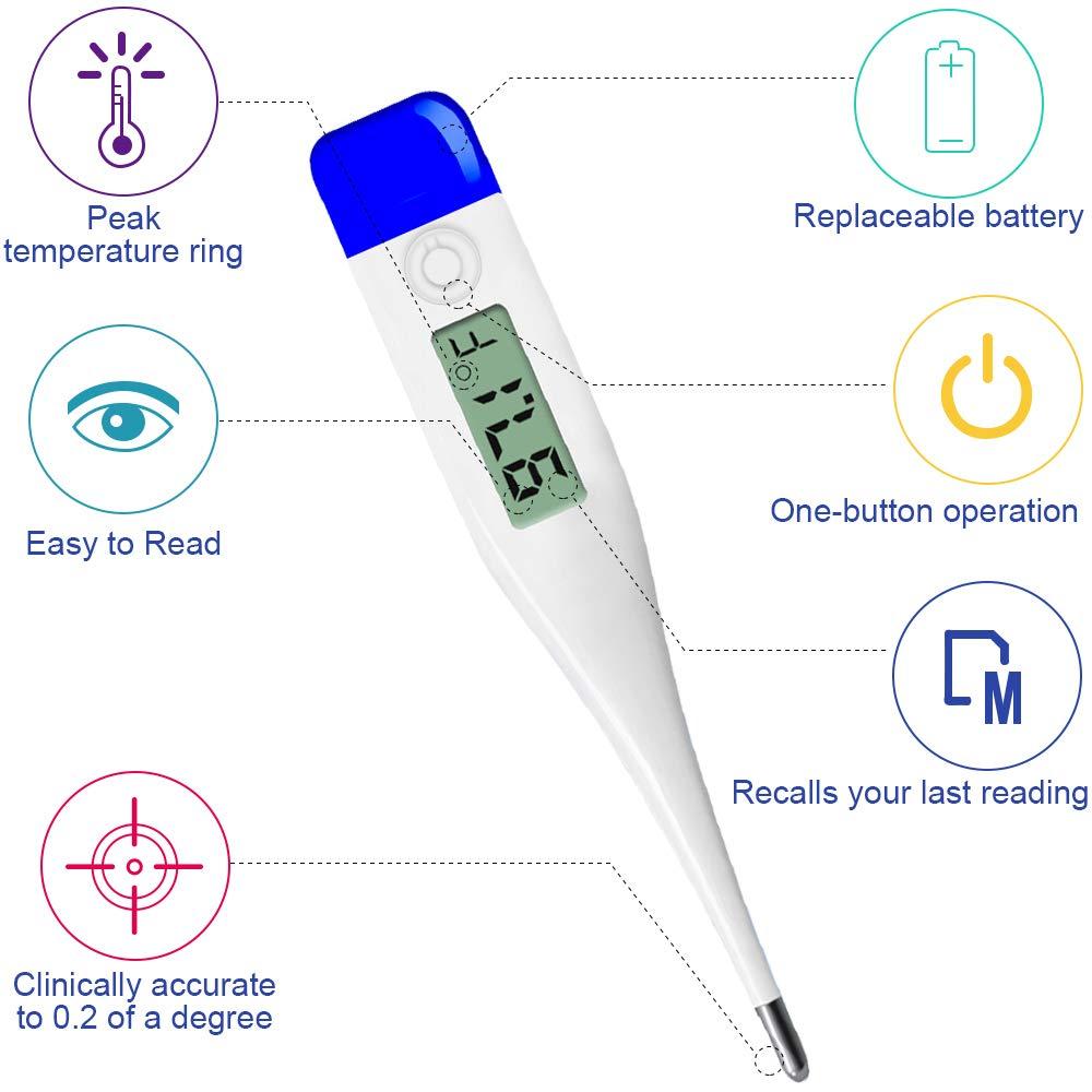 QQcute Digital Body Thermometer - Clinical Basic Thermometer with Accurate  and Fast Readings - Underarm, Oral, Rectal Thermometer for Newborns,  Babies, Kids, and Adults