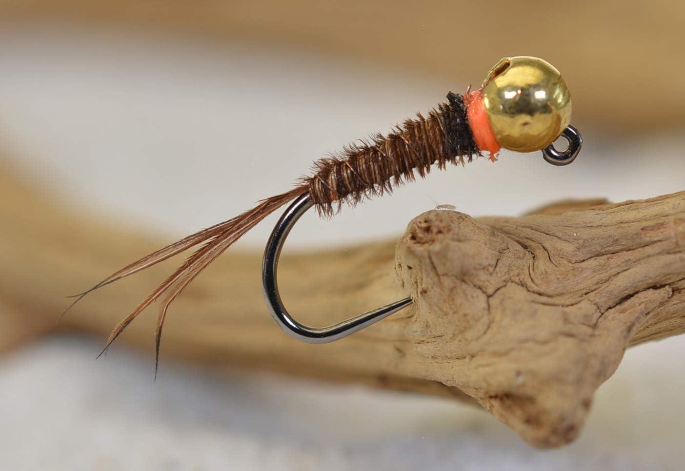 Region Fishing Tungsten Bead Hot Spot Pheasant Tail Jig Fly - Euro Nymph - Hanak  Hooks 6ct Assortment
