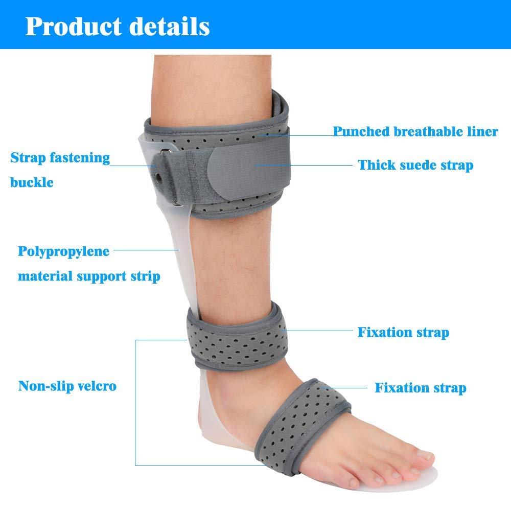 Knee Immobilizer Full Leg Brace,Leg Fixed Brace Orthopedic Drop Foot  Support Orthosis,Rehabilitation Equipment Varus Correction Fracture Fixed  Foot