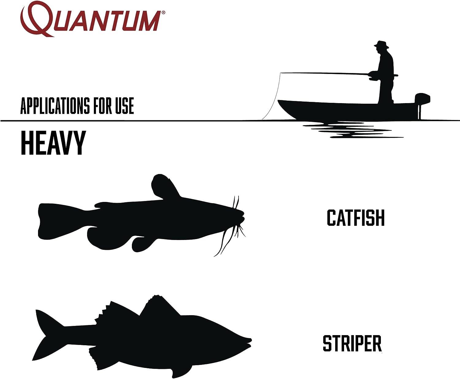 Quantum Optix Spinning Fishing Reel, Size 10