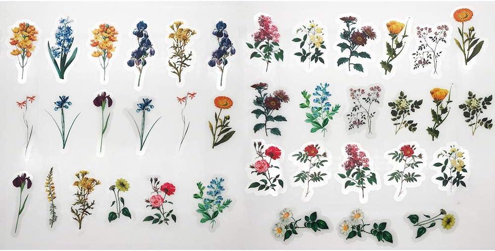 ZMLSED Vintage Natural Scrapbook Stickers, 40Pcs Floral Border Decorative  Retro Decal Adhesive Watercolor Aesthetic for Craft Art Bullet Junk Journal  Laptop DIY Paper Planner Notebook Collage Album - Yahoo Shopping