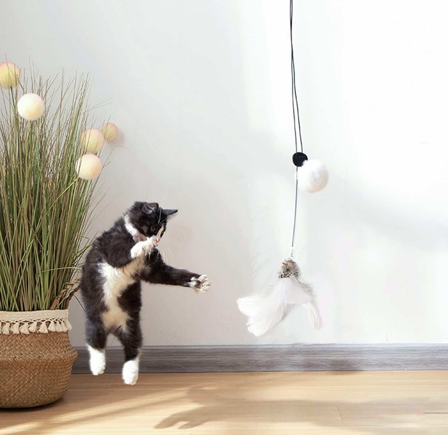 Double Head Cat Wand Toys w/Suction Cup Pet Cat Interactive Feather Indoor  Play