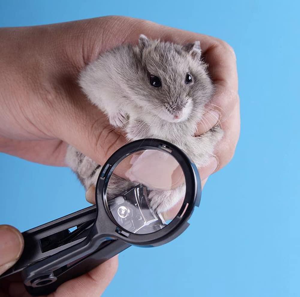 Nail clippers for your guinea pigs