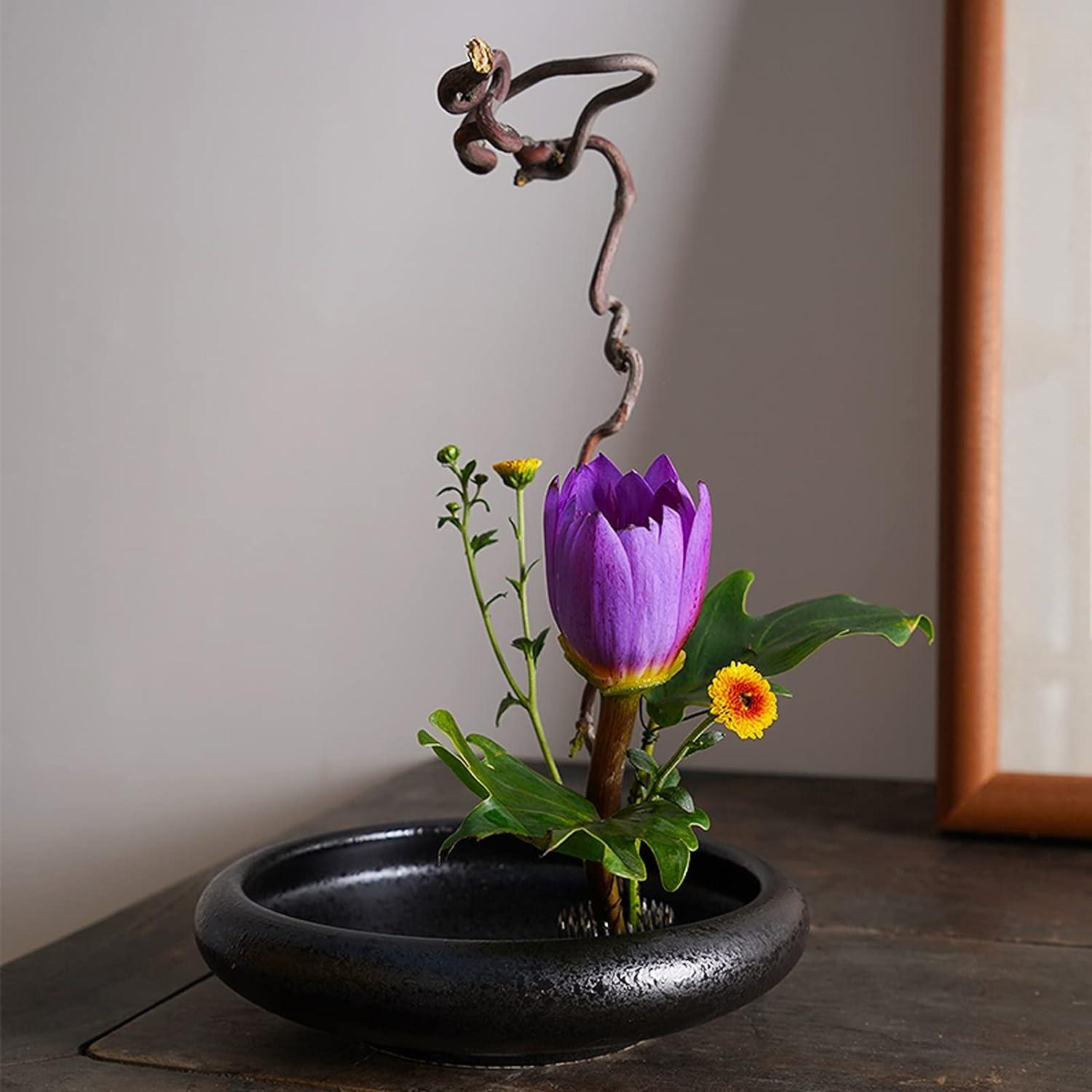 Round Ikebana Flower Frogs Home Supply Pin Holder Flower Arrangements  Supplies