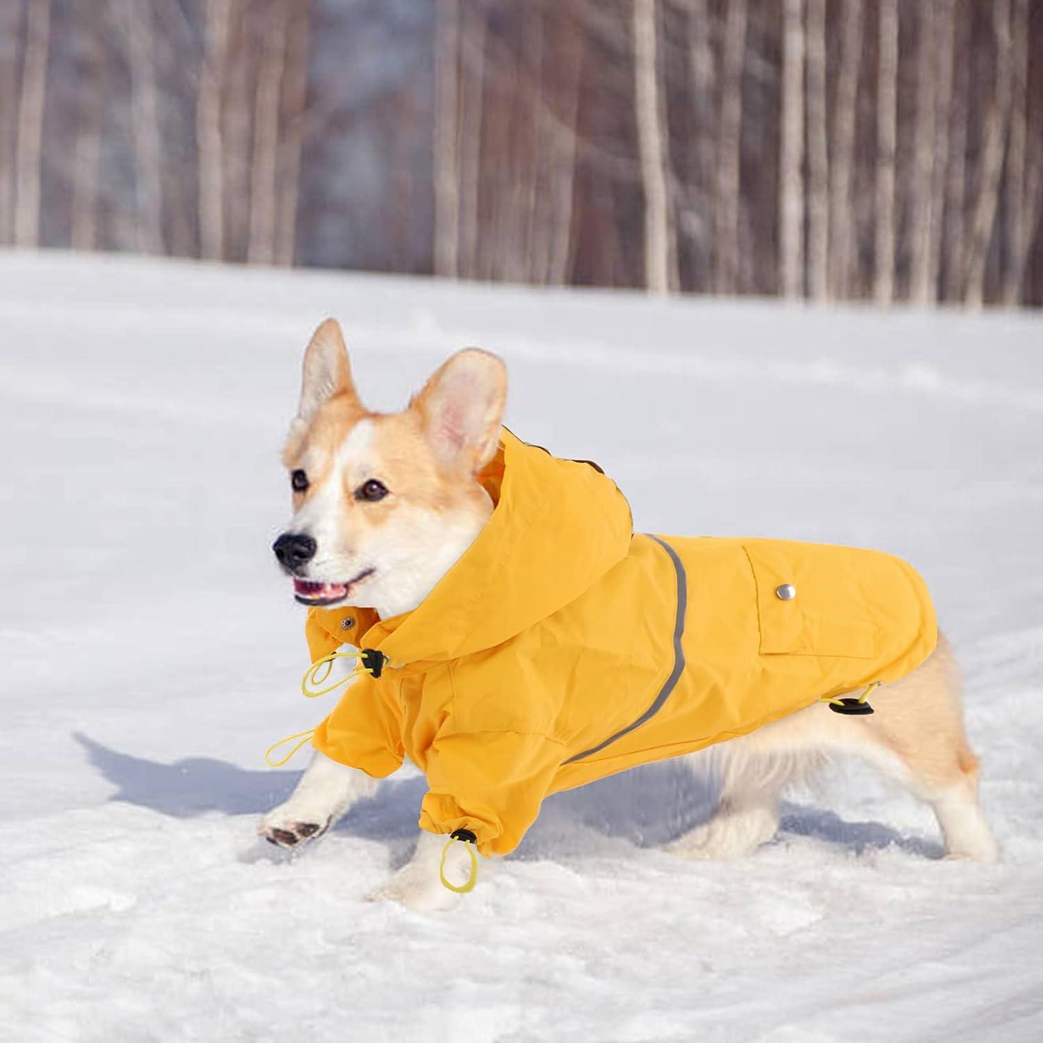 Waterproof Raincoat Dogs, Dog Clothes Welsh Corgi
