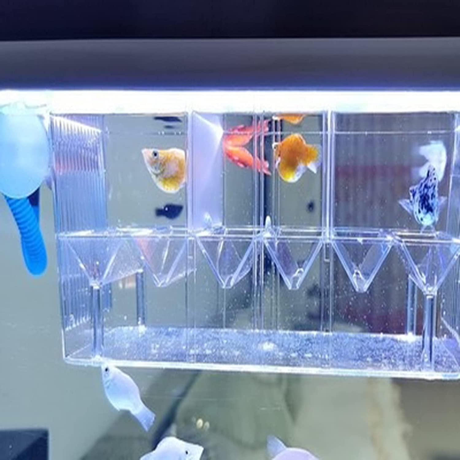 Fish Breeding Box Acrylic Fish Isolation Box With Suction Cups
