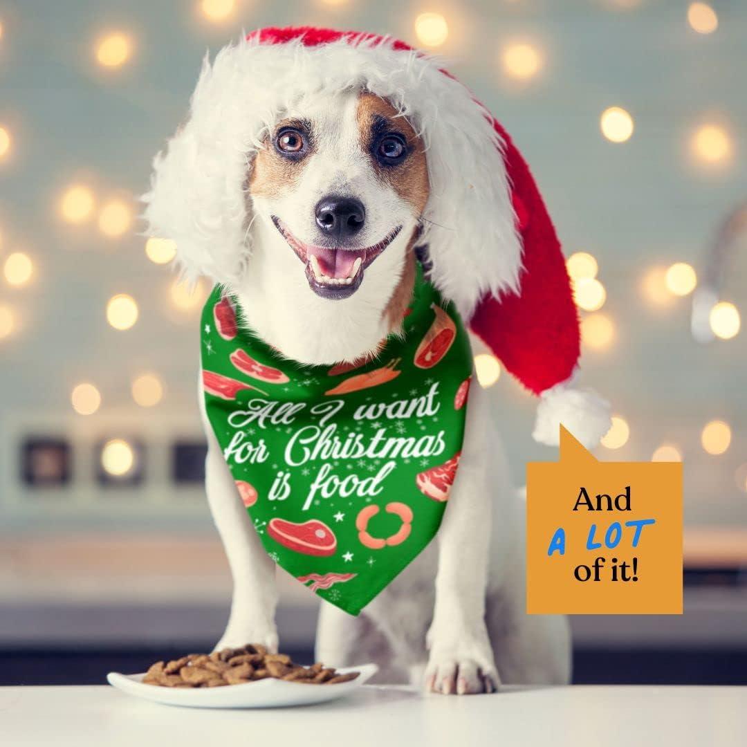 Holiday Reversible Scarf – Doggu pets
