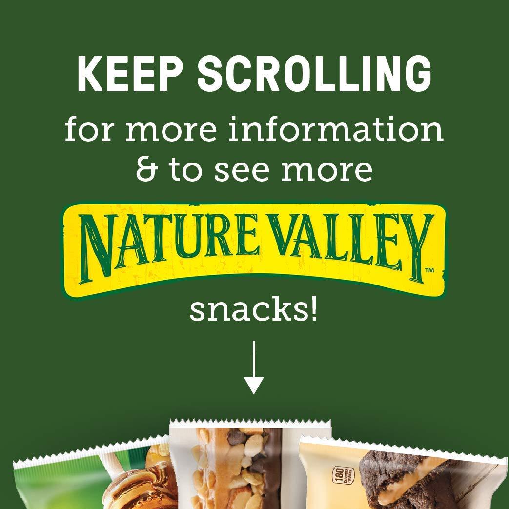 Nature Valley Protein Chewy Bars, Peanut Butter Dark Chocolate - 5 pack, 1.42 oz bars