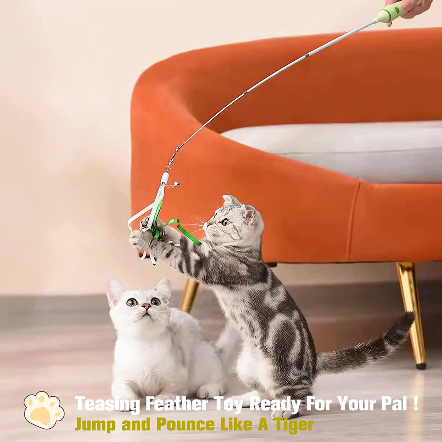 Interactive Cat Teaser Wand Toys Kitten Toys Cat Fishing Pole Toy