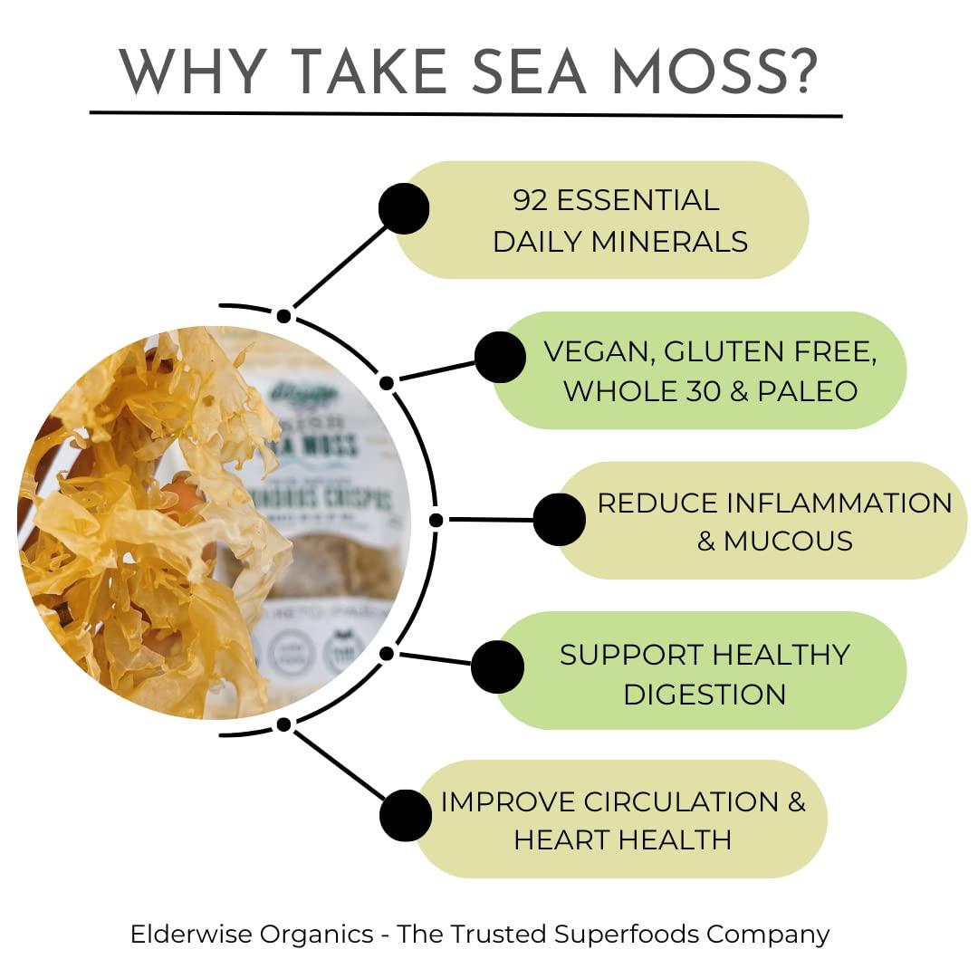 Irish Moss - Benefits & How to Use - Go Raw Organics