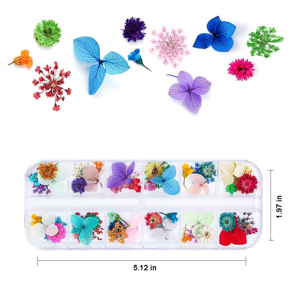 Kongqtee Dried Flowers For Nails And Resin Jewellery 92 Pcs 3d