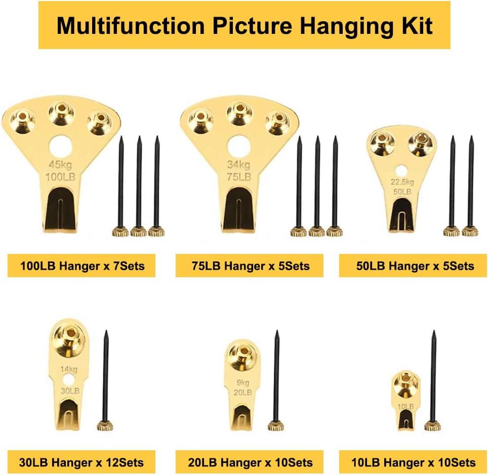 125 pcs Picture Hangers, Heavy Duty Picture Hanging Kit with Nails,  Professional Picture Hanging Kit on Wooden/Drywall for Canvas, Office  Pictures, Clock, House Decoration, Holds 10-100 lbs