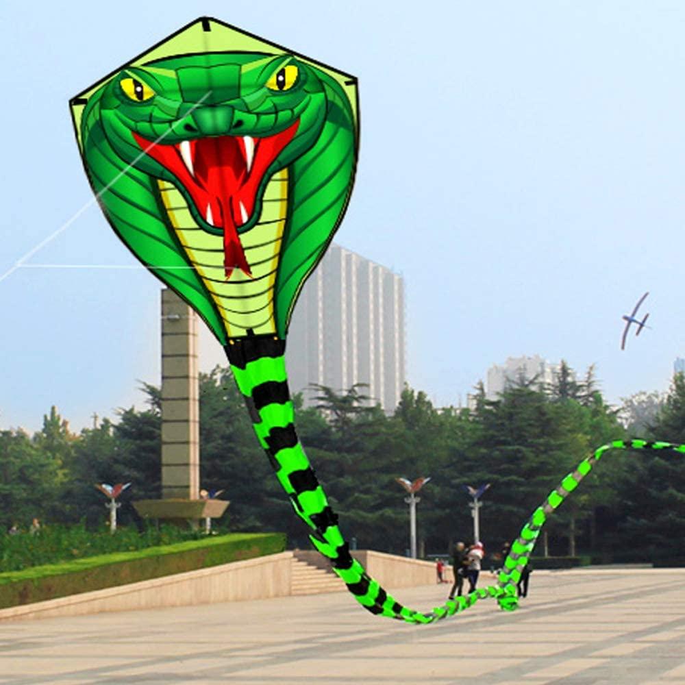 HENGDA KITE Large Power Snake Kites with Flying Line Outdoor Fun Sports Kite  B 26 Ft