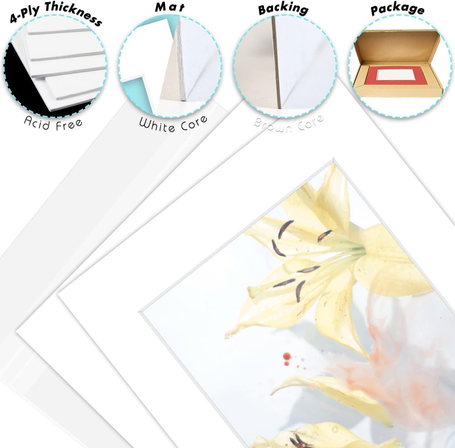 Acid-Free 5 Pack 8x10 Pre-Cut Mat Board Show Kit for 5x7 Photos, Prints or Artworks, 5 Core Bevel Cut Matts and 5 Backing Boards and 5 Crystal