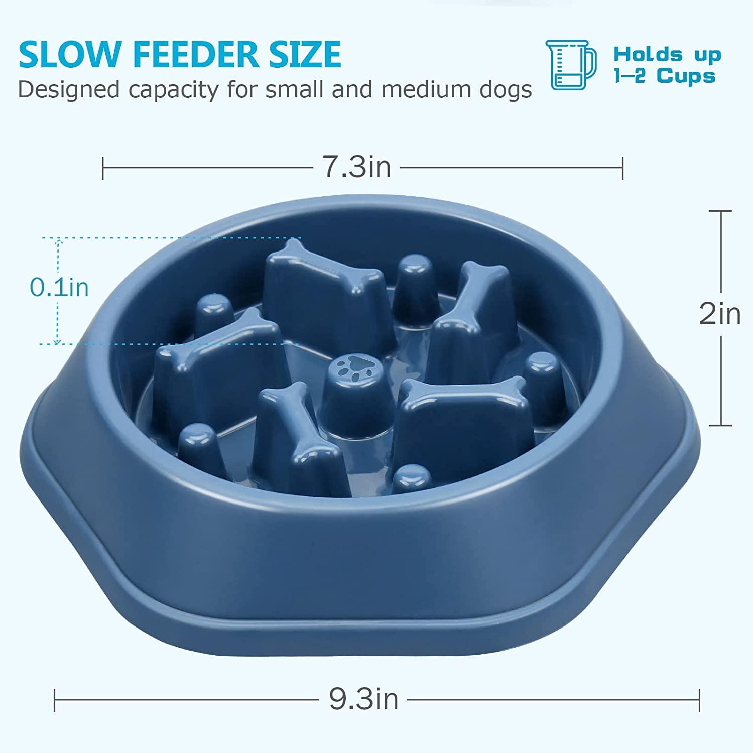 CE Compass Slow Feeder Dog Bowl, Anti-Gulping Dog Puzzle Bowl
