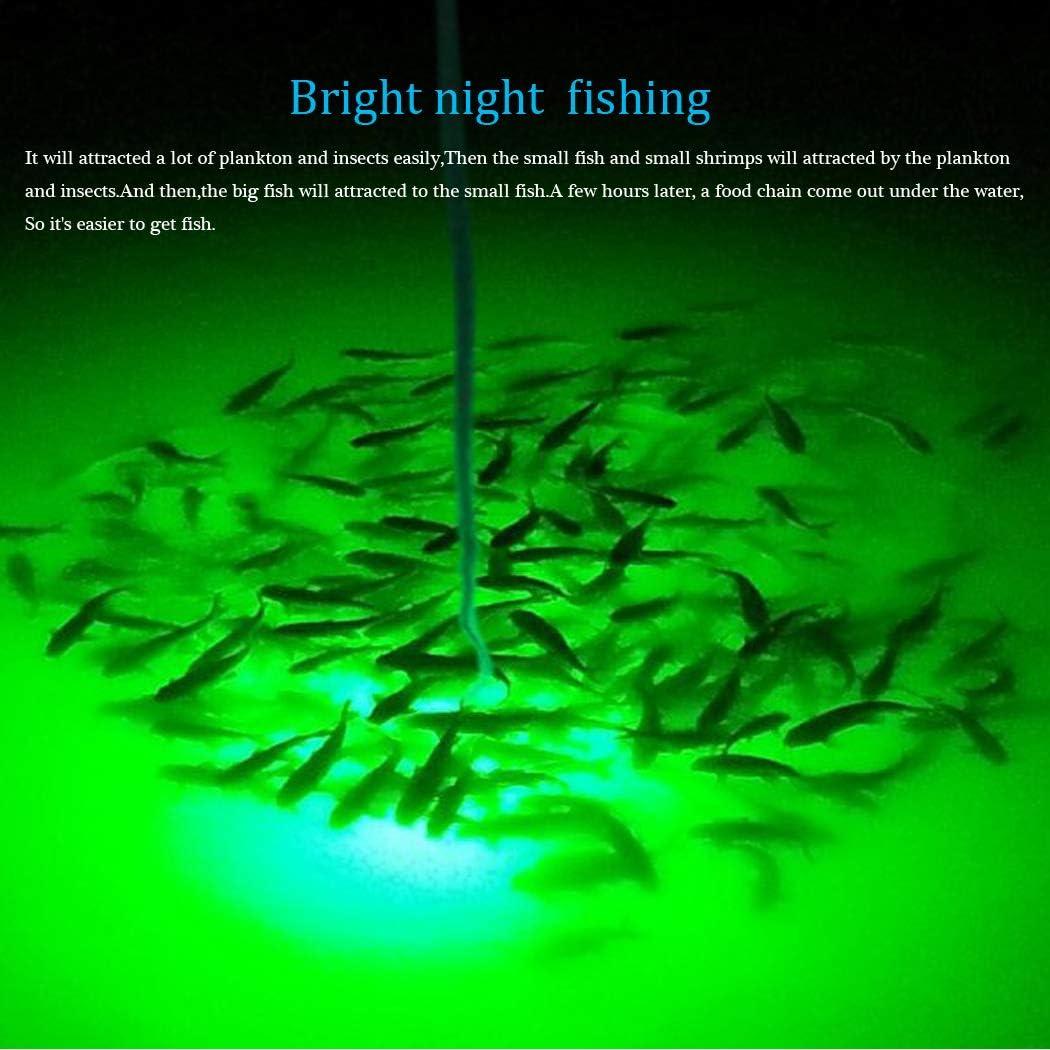 108 LED Fishing Light Underwater Submersible Crappie Shad Squid Night Lamp  12V