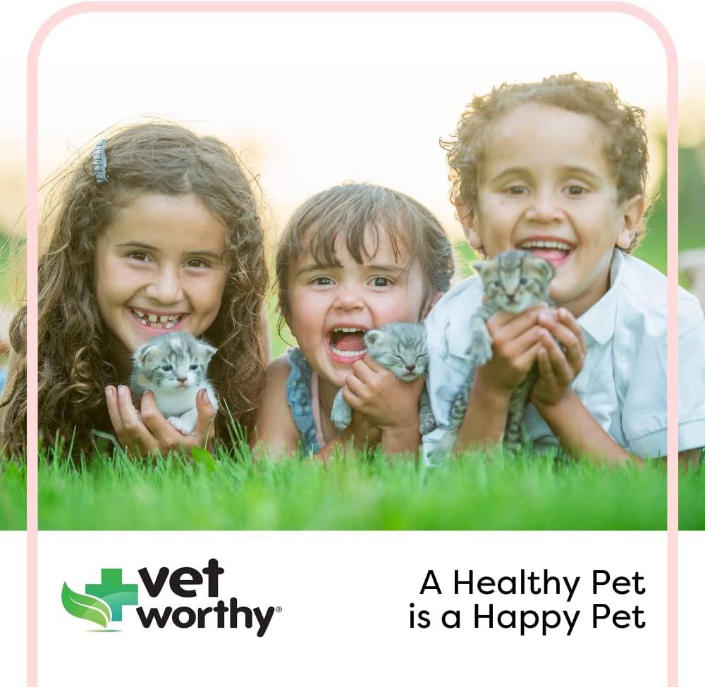 Pet Supplies : Vet Worthy 7-Piece Canine Nursing Kit - Dog Nursing Set for  Orphaned and Newborn Puppies - Pet Feeding Support Kit with Feeding Bottle,  Milk Bottle Brush, and 5 Nipples (