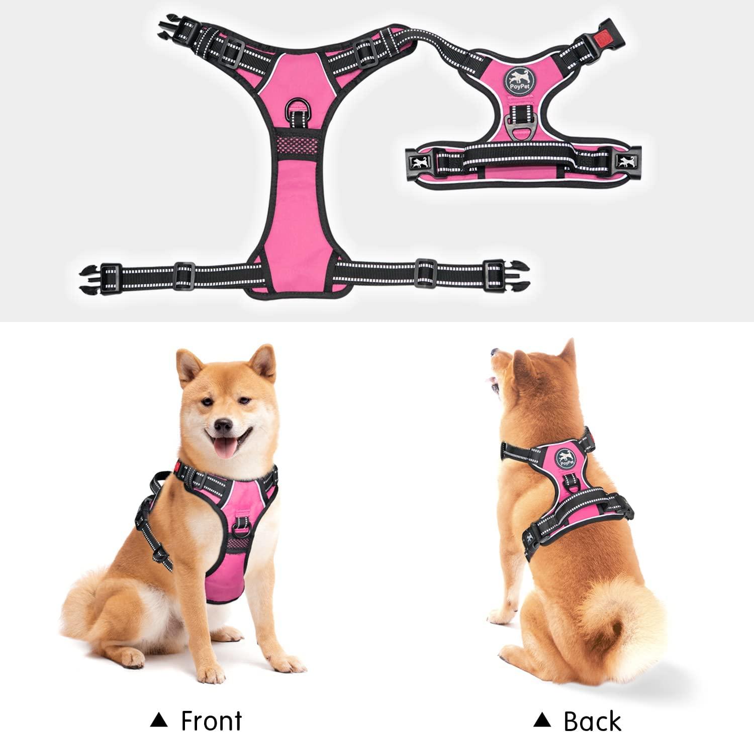 Fur Baby Printed Reflective Nylon Neck Belt Adjustable Dog Collar
