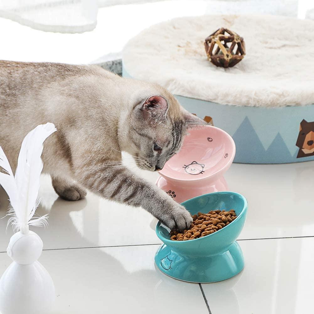 Ceramic Raised Cat Bowl - Super Kitty Cats