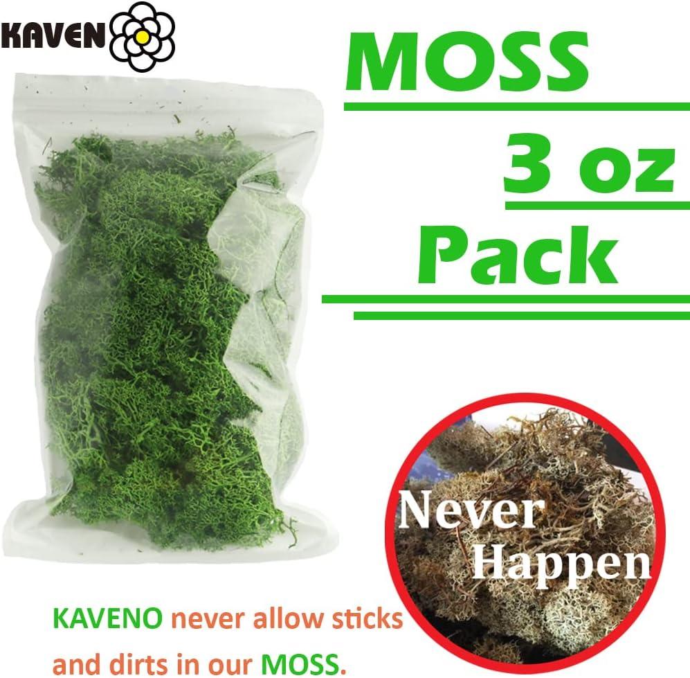 Kaveno Sheet Moss Preserved Upgraded Dried Grass Green for Fairy Gardens,  Terrariums, Any Craft or Floral Project or Wedding Other Arts, 16 x 7.2