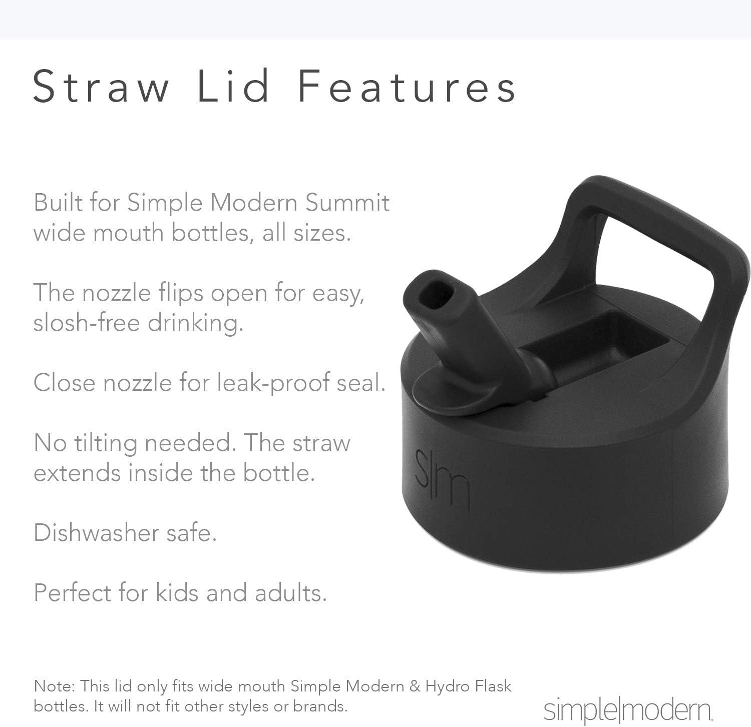 Simple Modern Disney Summit Water Bottle with Straw Lid - 32oz