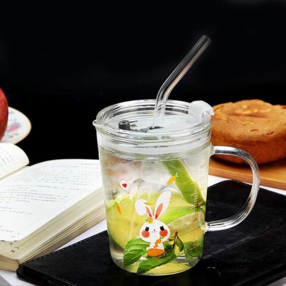 Cute Glass Mug with Straw and Lid Mason Jar Borosilicate Glass