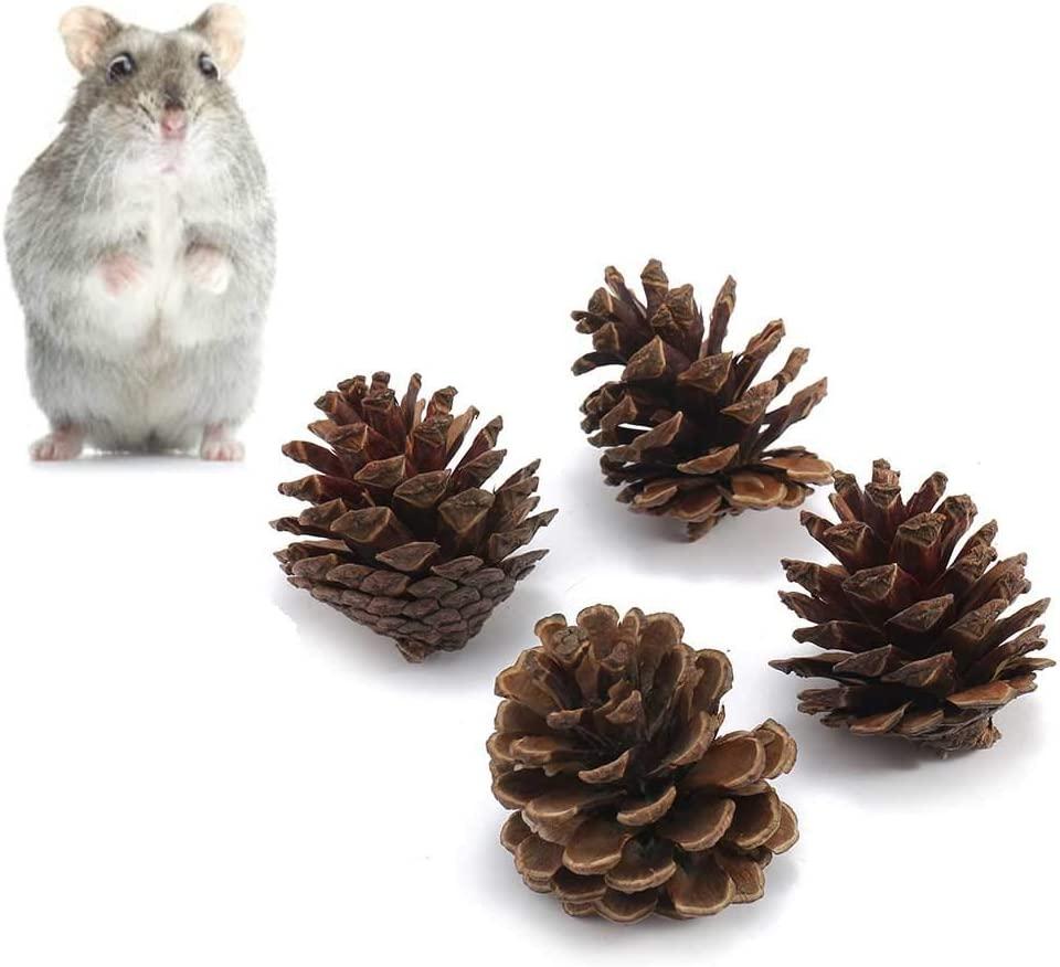 Small Pine Cone Chew For Small Pets