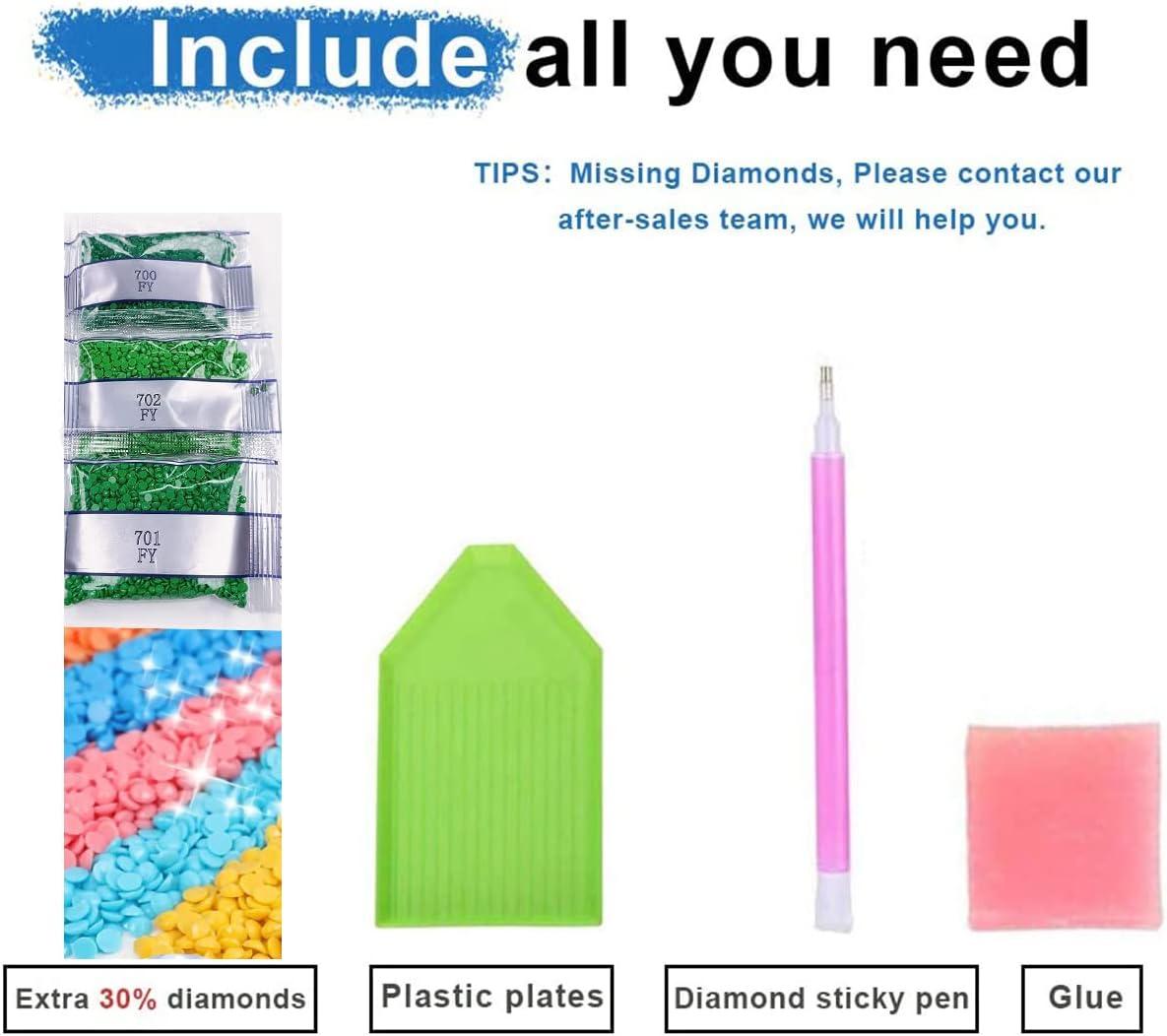  DIY 5D Anime Diamond Art Painting Kits for Adults Full