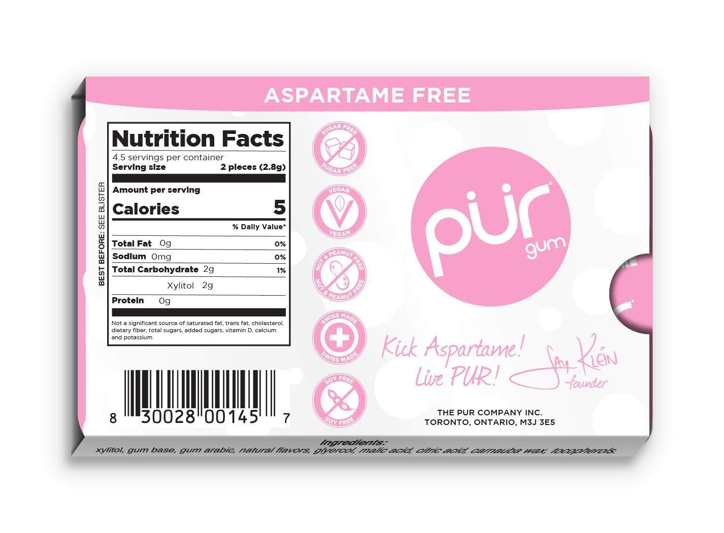 Pur Aspartama Free Cinnamon Chewing Gum, 9 count -- 12 per case