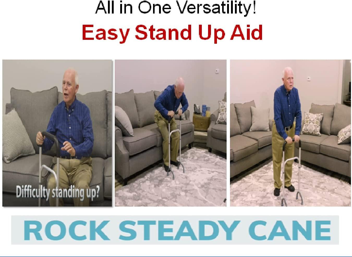 Standers Chair & Couch Cane :: standing aid for sofas