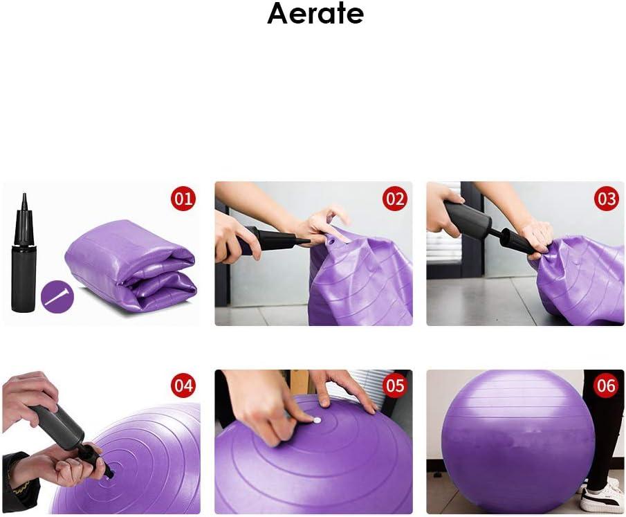 Buy Reehut Anti-Burst Core Exercise Ball for Yoga, Balance, Workout,  Fitness w/Pump (Purple, 55CM) Online at Lowest Price Ever in India