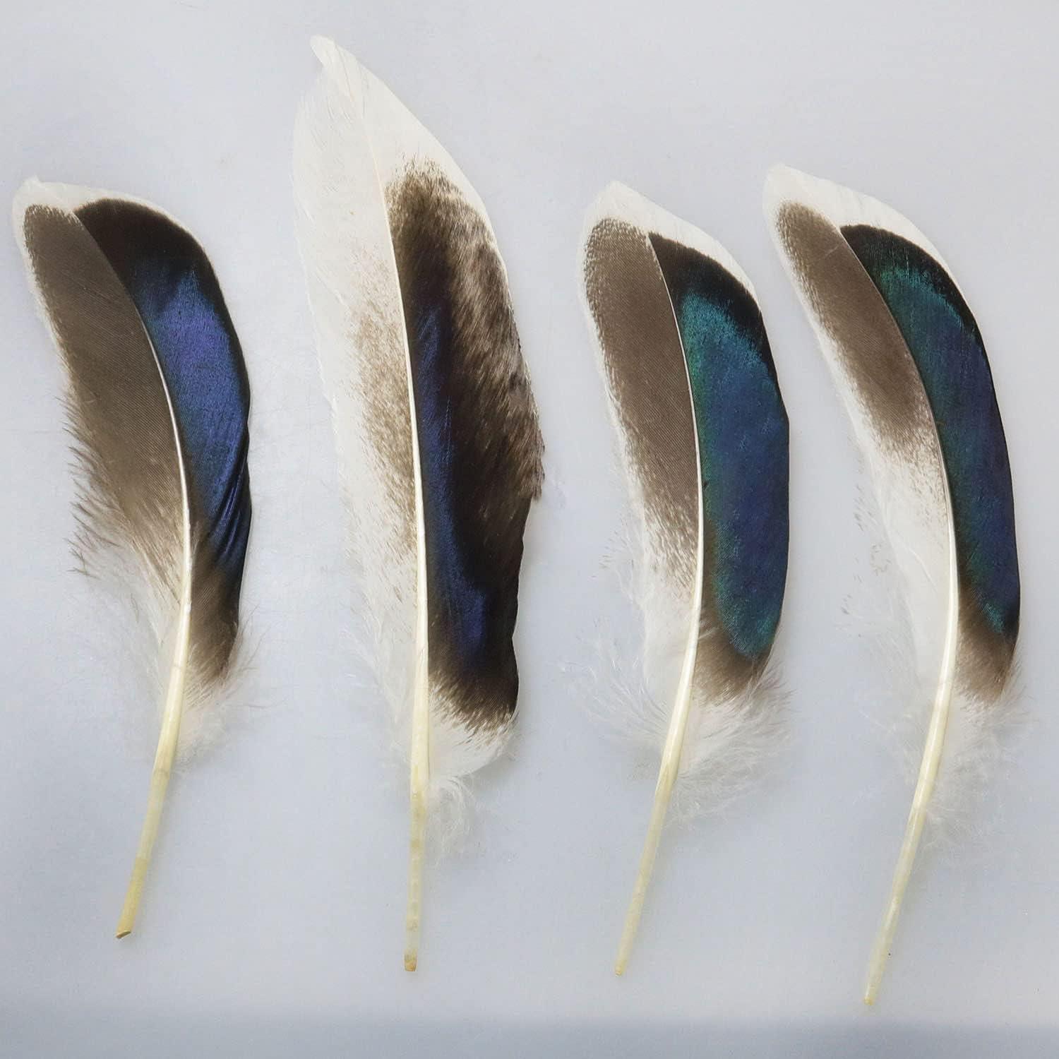 Turkey Craft Feathers, Duck Feather Diy