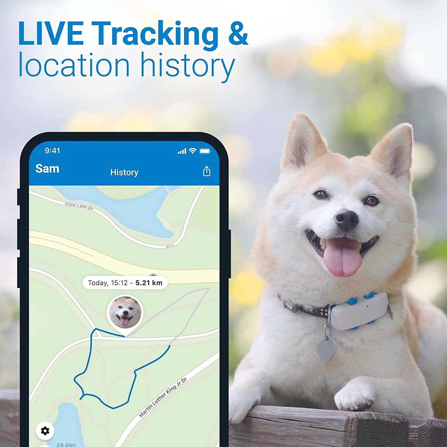 Tractive GPS Dog LTE (TRNJAWH) GPS Pet Tracker Review - Consumer