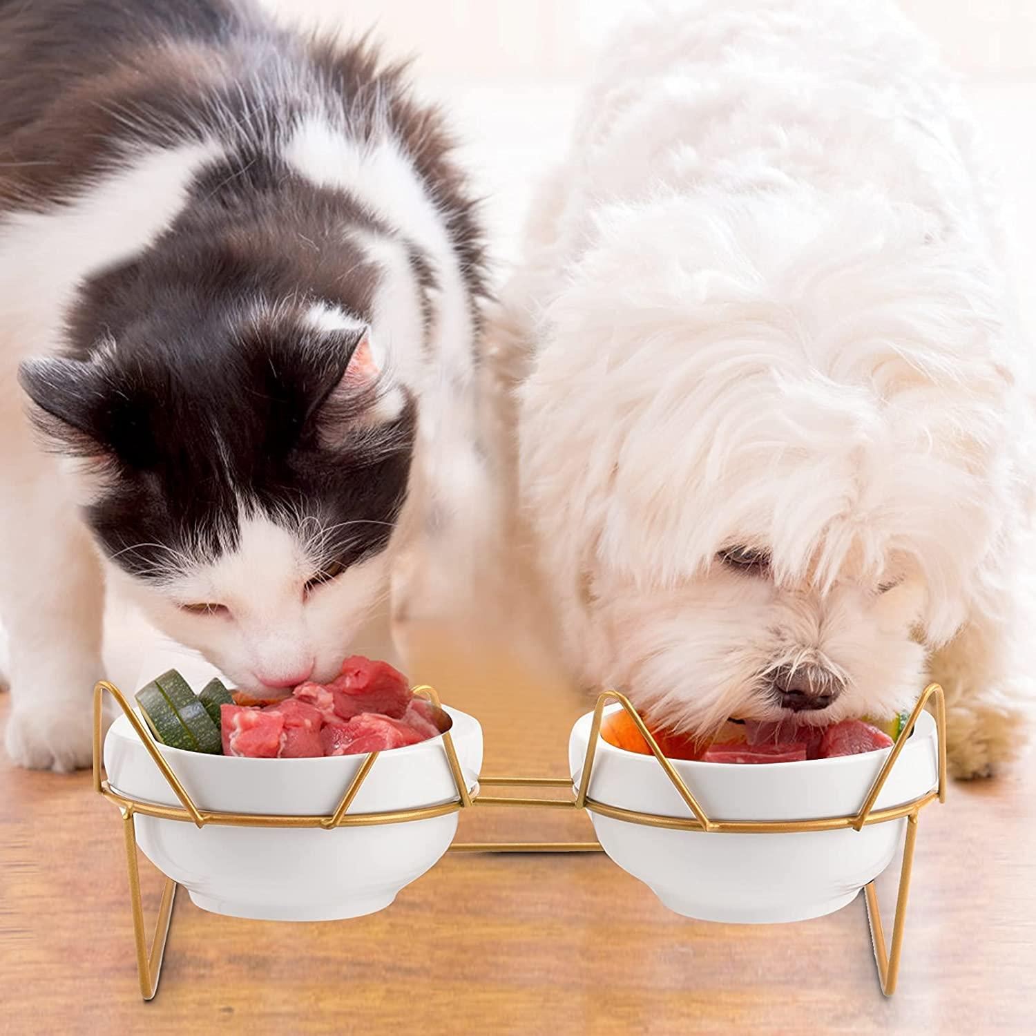 Double Cat Dog Bowls Elevated Cat Food Water Bowls With Raised